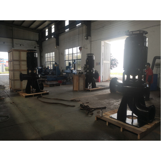 Dry Installation Vertical Sewage Pump with Autocoupling System
